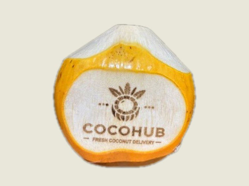 Genjah coconut, peeled