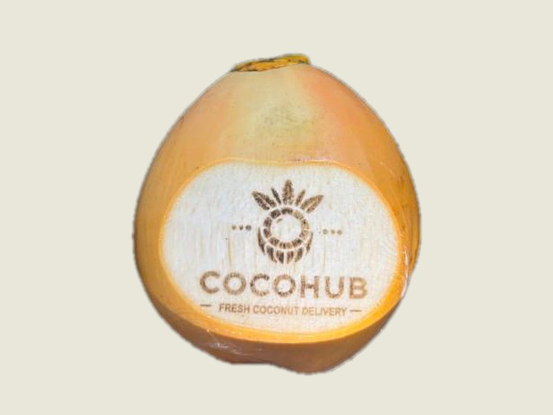 Genjah coconut