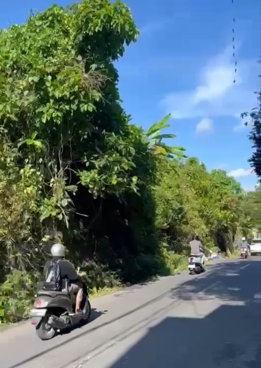 LAND CLOSE TO UBUD CENTER FOR LEASED
