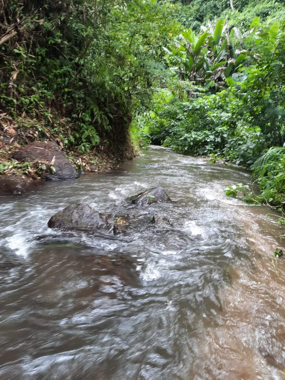PAYANGAN LAND FOR HOTEL & RESORT DEVELOPMENT