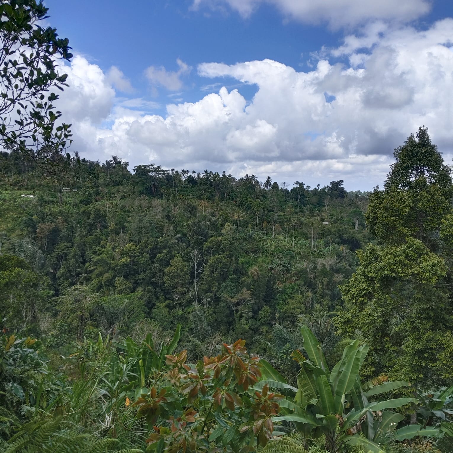 PAYANGAN LAND FOR HOTEL & RESORT DEVELOPMENT
