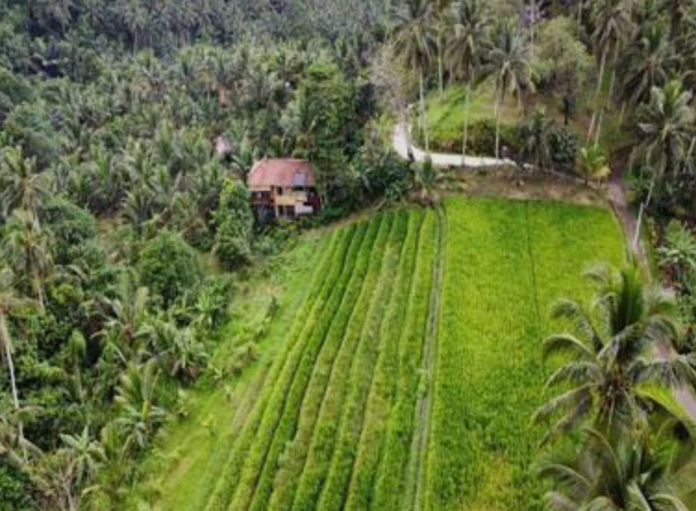 FOR SALE — EXCEPTIONAL 500-HECTARE DEVELOPMENT SITE IN TABANAN, BALI