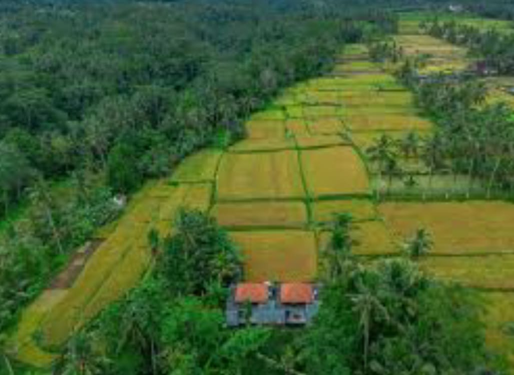 FOR SALE — EXCEPTIONAL 500-HECTARE DEVELOPMENT SITE IN TABANAN, BALI