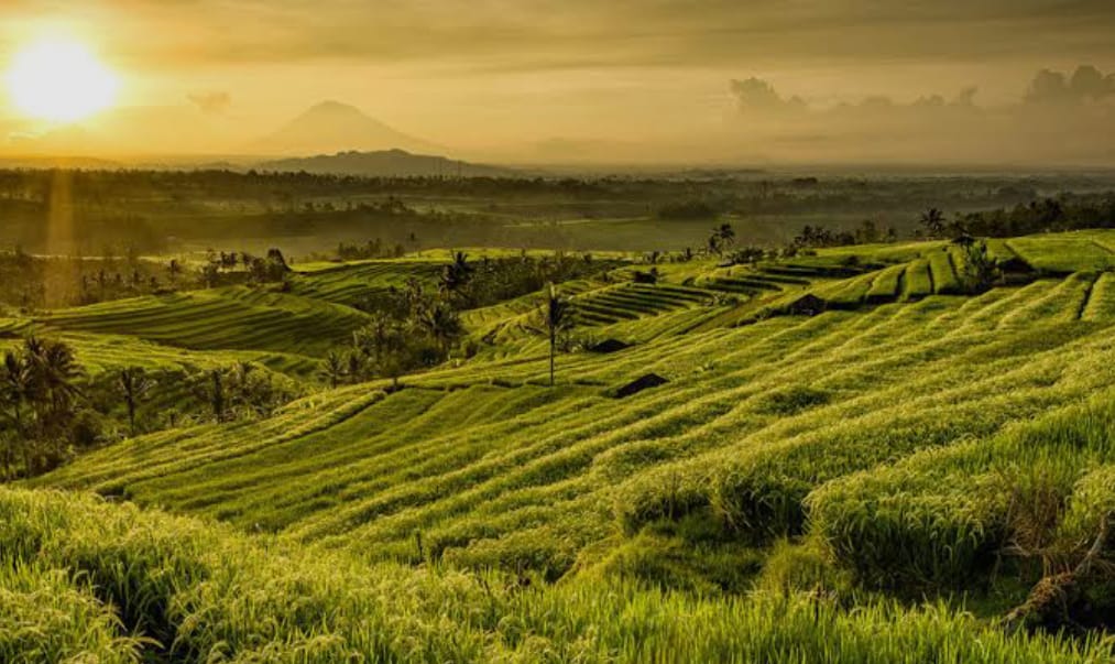 RARE OPPORTUNITY TO SECURE BALI LAND, SUITABLE FOR GOLF COURSE DEVELOPMENT