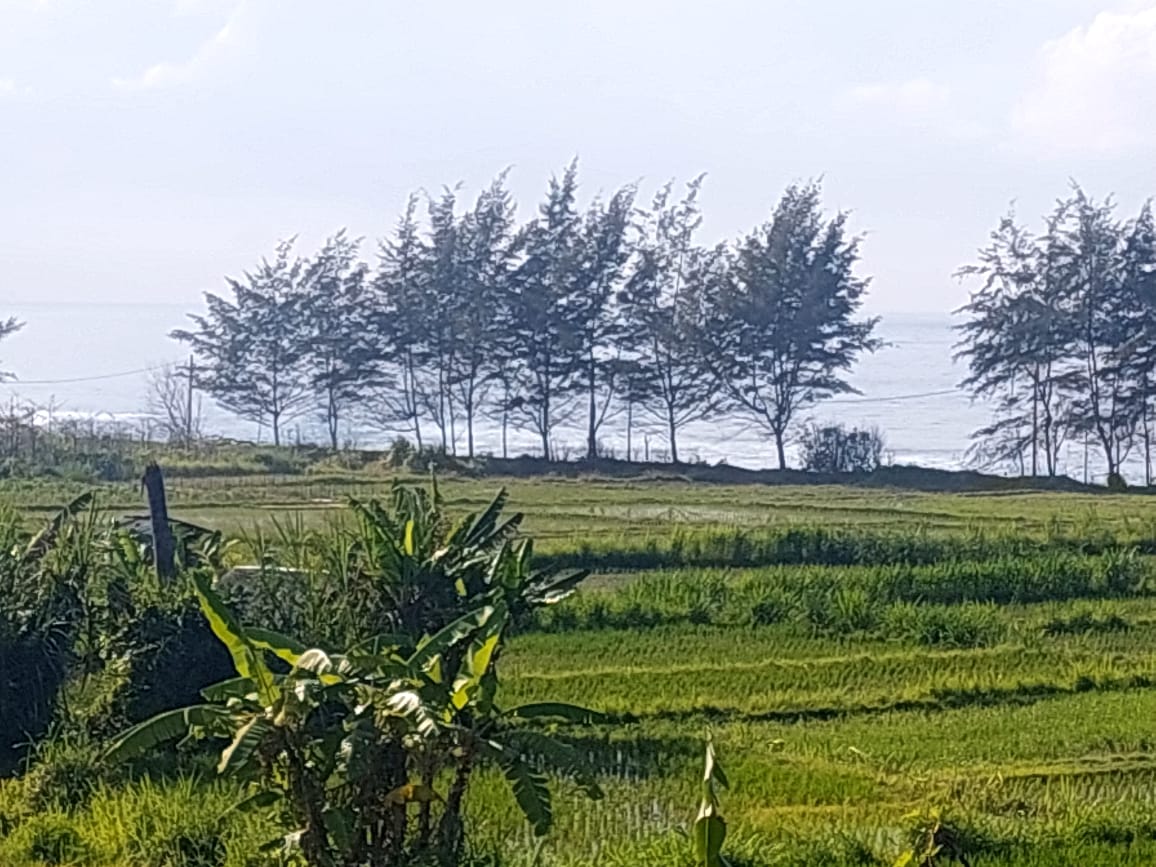 EXCLUSIVE BEACH FRONT LAND FOR SALE PERING BEACH GIANYAR BALI