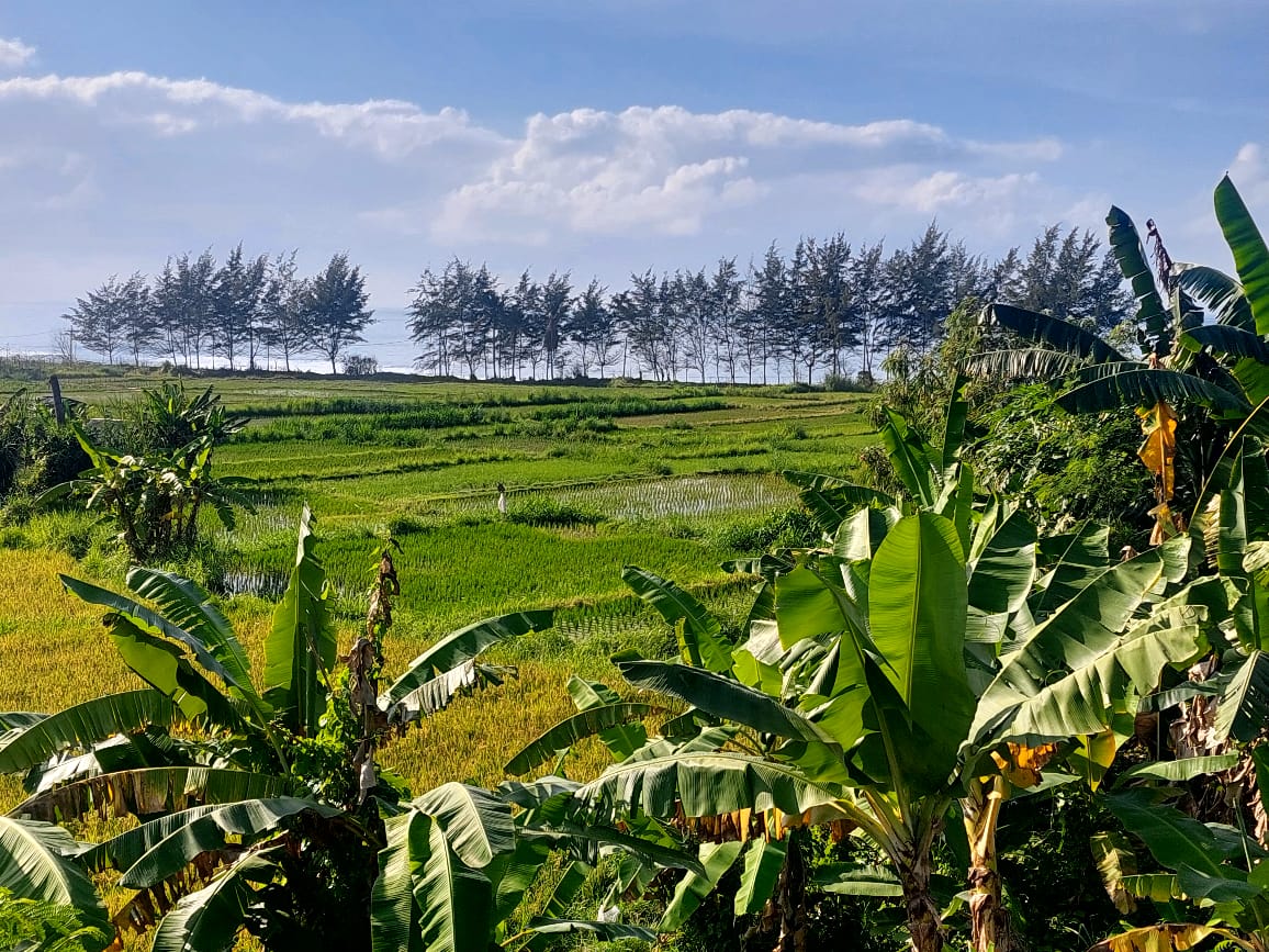 EXCLUSIVE BEACH FRONT LAND FOR SALE PERING BEACH GIANYAR BALI