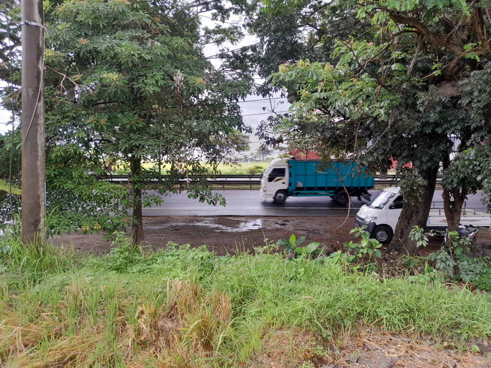 TEMESI LAND FOR GOLF, AGRO TORISM DEVELOPMENT GIANYAR BALI