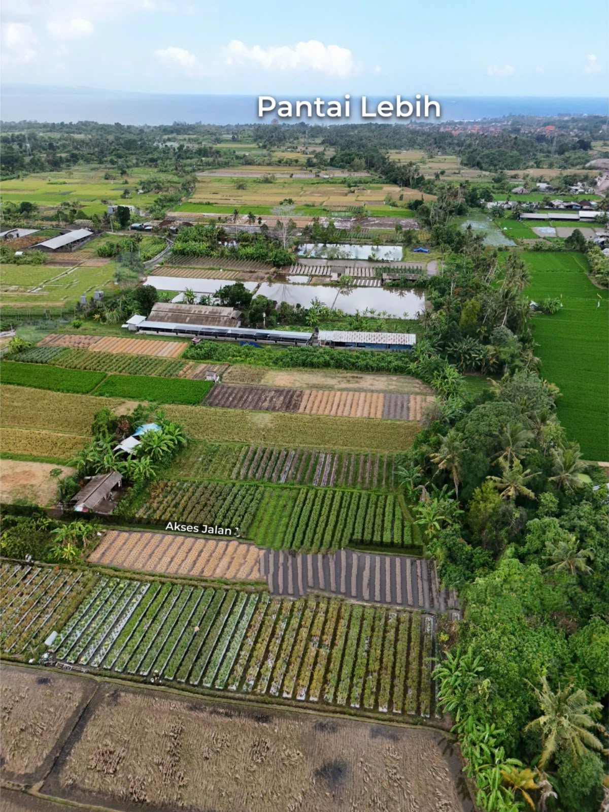 TEMESI LAND FOR GOLF, AGRO TORISM DEVELOPMENT GIANYAR BALI